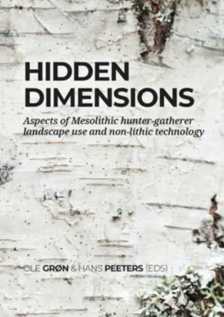 Hidden dimensions : Aspects of Mesolithic hunter-gatherer landscape use and non-lithic technology, Hardback Book