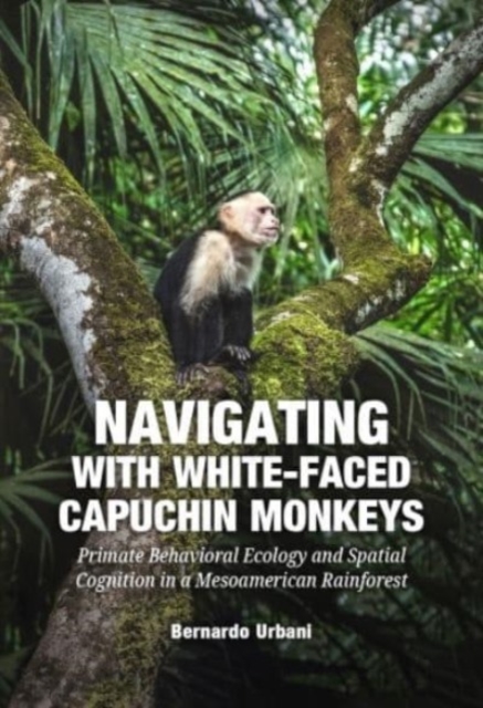 Navigating with White-Faced Capuchin Monkeys : Primate Behavioral Ecology and Spatial Cognition in a Mesoamerican, Paperback / softback Book