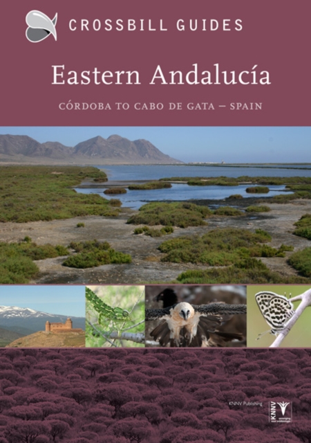 Eastern Andalucia : From Malaga to Cabo de Gata, Spain II, Paperback / softback Book