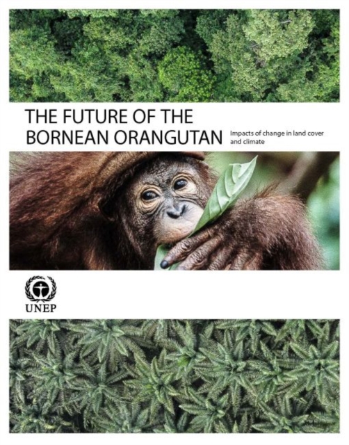 The future of the Bornean Orangutan : impacts of change in land and climate, Paperback / softback Book