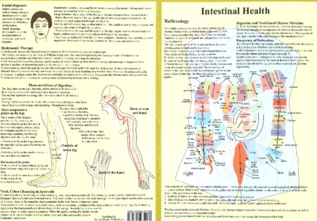 Intestinal Health -- Double Sided A4, Poster Book
