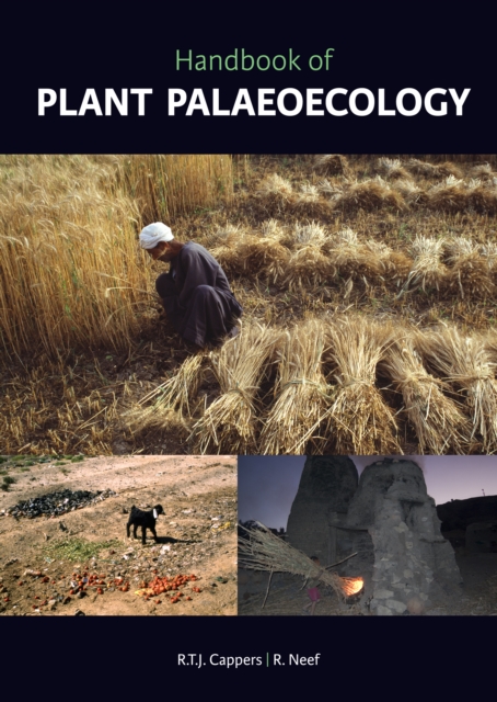 Handbook of Plant Palaeoecology, PDF eBook