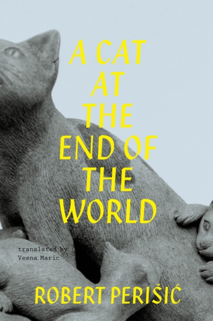 A Cat At the End of the World, Paperback / softback Book