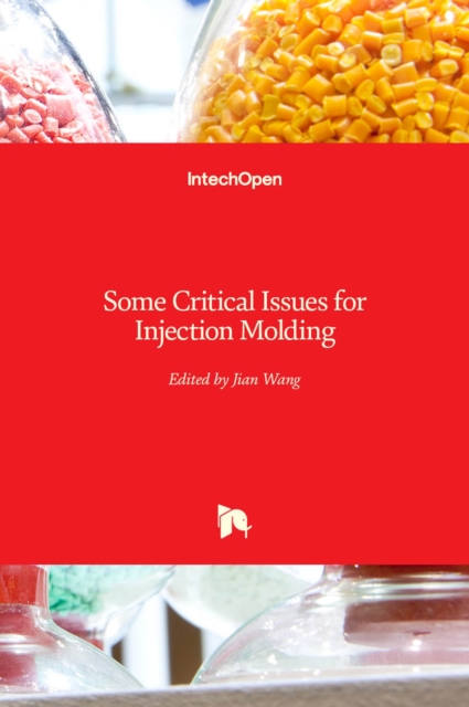 Some Critical Issues for Injection Molding, Hardback Book