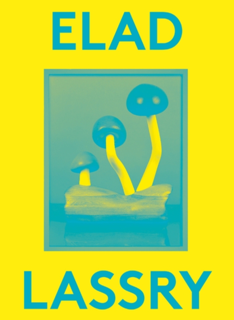 Elad Lassry : 2000 Words Series, Paperback / softback Book