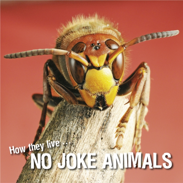 How they live... No joke animals, EPUB eBook