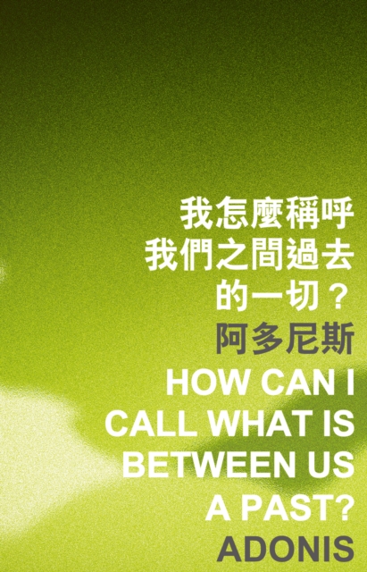 How Can I Call What Is between Us a Past?, PDF eBook