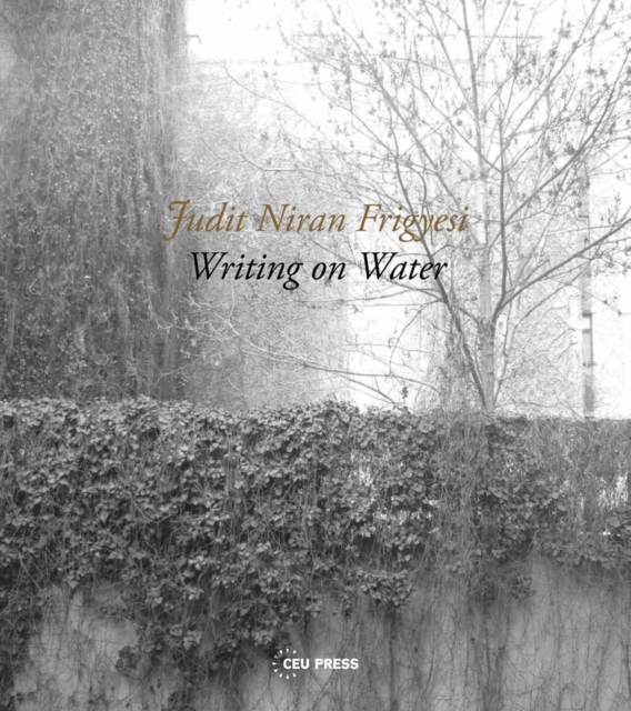 Writing on Water : The Sounds of Jewish Prayer, PDF eBook