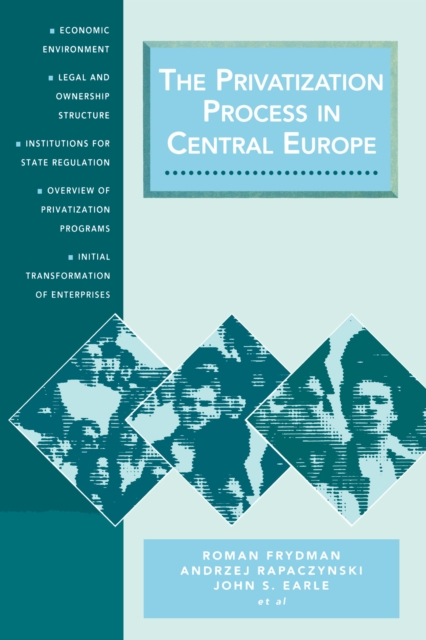 The Privatization Process in Central Europe, PDF eBook