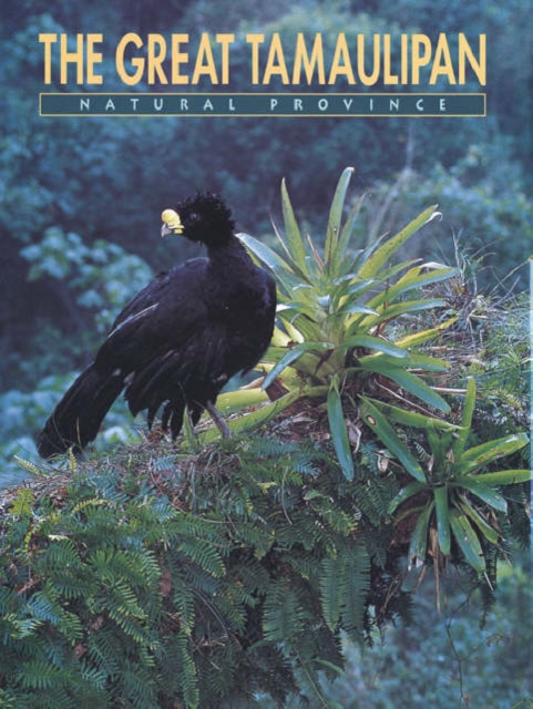 The Great Tamaulipan Natural Province, Hardback Book