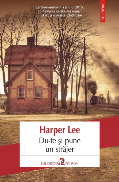 Du-te si pune un strajer, EPUB eBook