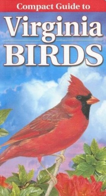 Compact Guide to Virginia Birds, Paperback / softback Book