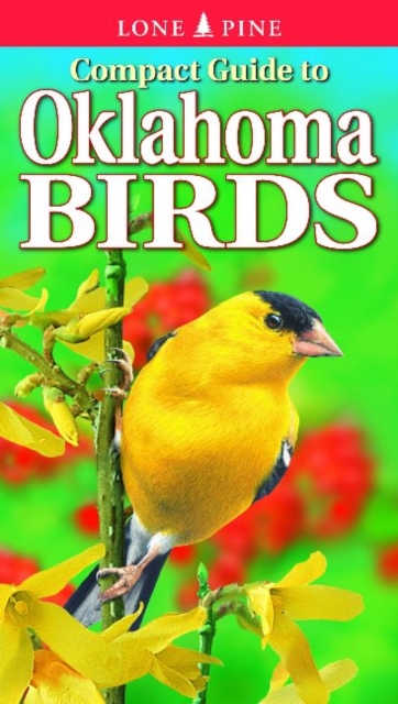 Compact Guide to Oklahoma Birds, Paperback / softback Book