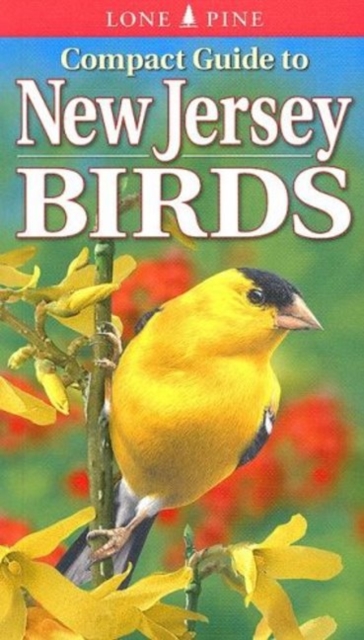 Compact Guide to New Jersey Birds, Paperback / softback Book