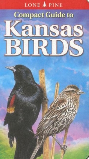 Compact Guide to Kansas Birds, Paperback / softback Book