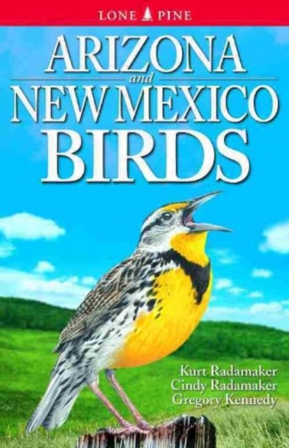 Arizona and New Mexico Birds, Paperback / softback Book