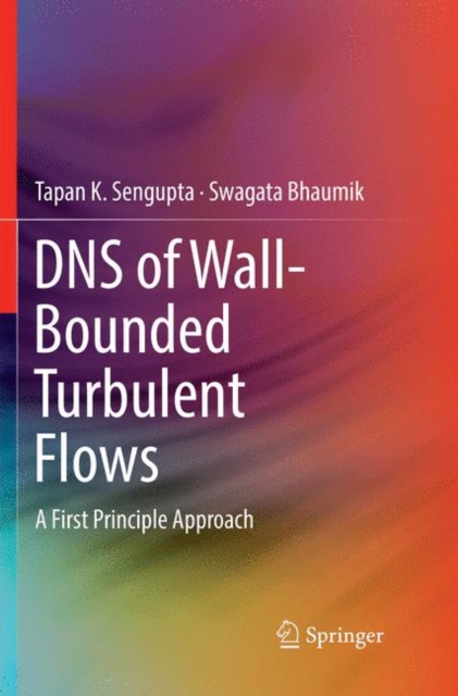 DNS of Wall-Bounded Turbulent Flows : A First Principle Approach, Paperback / softback Book