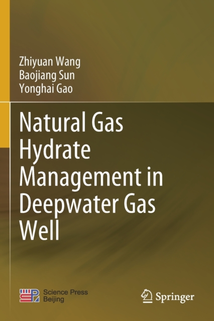 Natural Gas Hydrate Management in Deepwater Gas Well, Paperback / softback Book