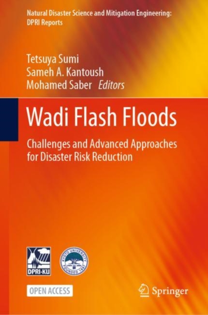 Wadi Flash Floods : Challenges and Advanced Approaches for Disaster Risk Reduction, EPUB eBook