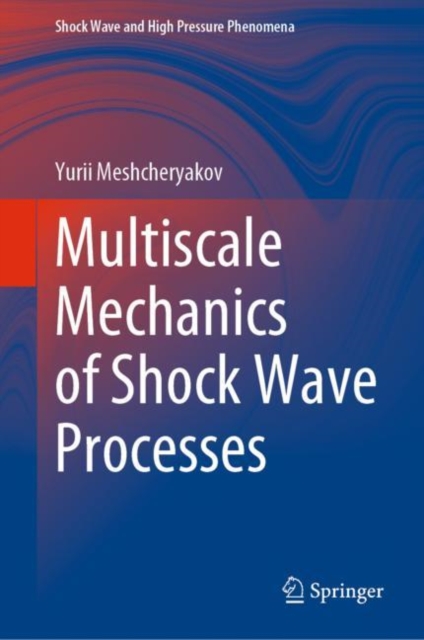 Multiscale Mechanics of Shock Wave Processes, EPUB eBook