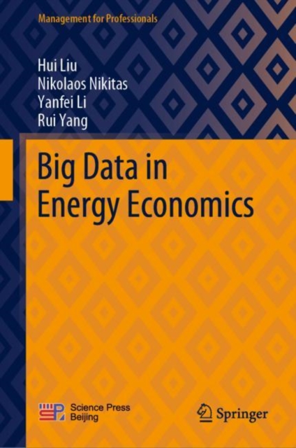 Big Data in Energy Economics, Hardback Book
