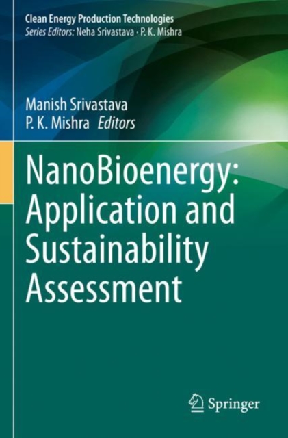 NanoBioenergy: Application and Sustainability Assessment, Paperback / softback Book
