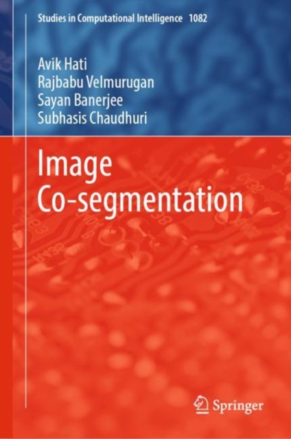Image Co-segmentation, EPUB eBook