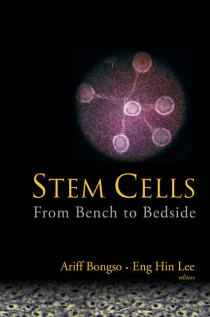 Stem Cells: From Bench To Bedside, Hardback Book