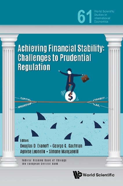 Achieving Financial Stability: Challenges To Prudential Regulation, EPUB eBook