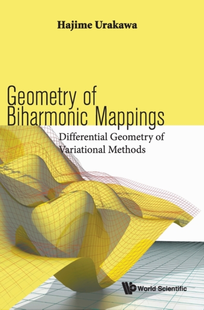 Geometry Of Biharmonic Mappings: Differential Geometry Of Variational Methods, Hardback Book