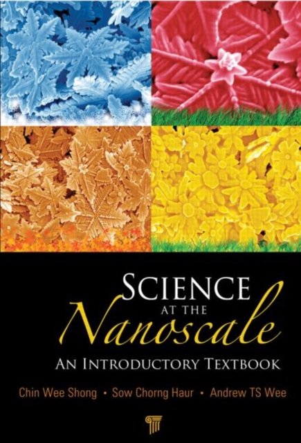 Science at the Nanoscale : An Introductory Textbook, Paperback / softback Book