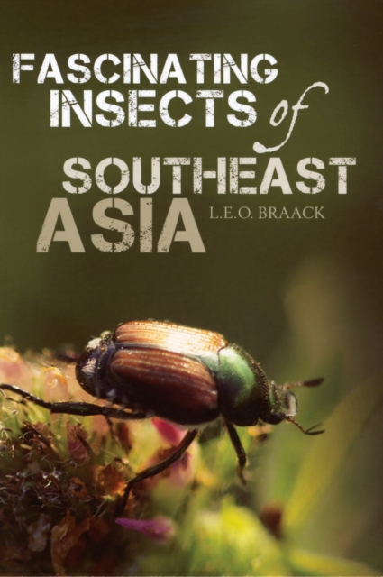 Fascinating Insects of Southeast Asia, Paperback / softback Book