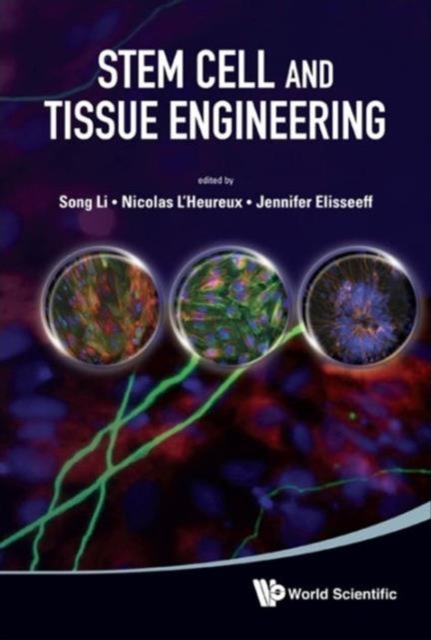 Stem Cell And Tissue Engineering, Hardback Book