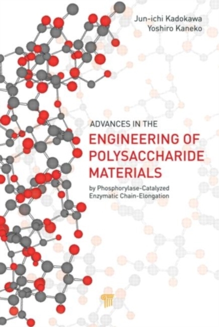 Advances in the Engineering of Polysaccharide Materials : by Phosphorylase-Catalyzed Enzymatic Chain-Elongation, PDF eBook
