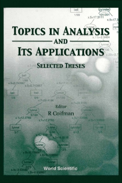 Topics In Analysis And Its Applications, Selected Theses, PDF eBook