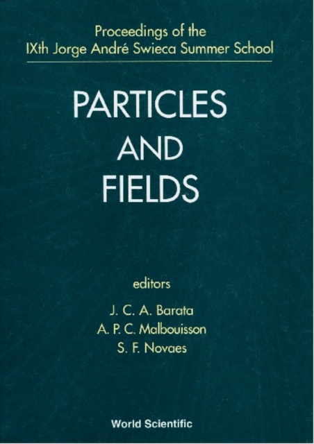 Particles And Fields - Proceedings Of The Ixth Jorge Andre Swieca Summer School, PDF eBook