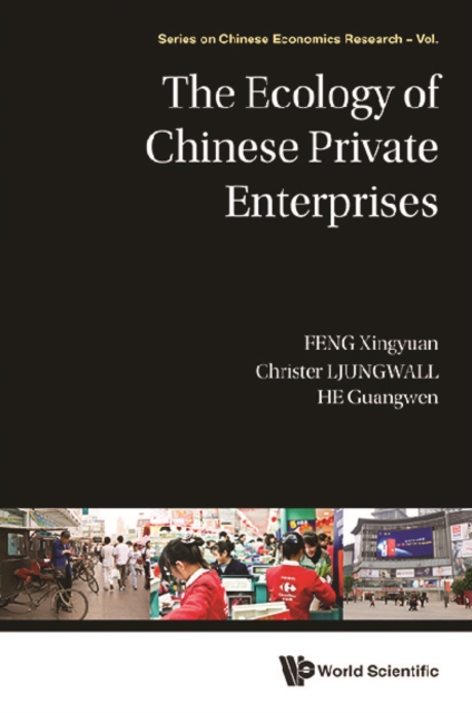 Ecology Of Chinese Private Enterprises, The, EPUB eBook