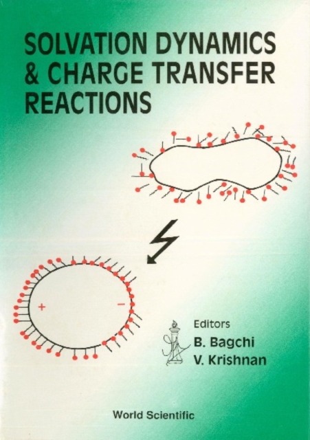 Solvation Dynamics And Charge Transfer Reactions - Proceedings Of The Meeting, PDF eBook