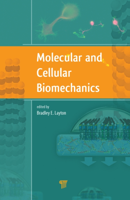 Molecular and Cellular Biomechanics, PDF eBook