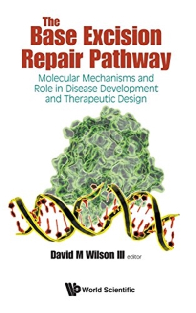 Base Excision Repair Pathway, The: Molecular Mechanisms And Role In Disease Development And Therapeutic Design, Hardback Book