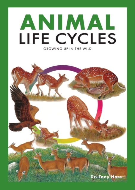 Animal Life Cycles, EPUB eBook