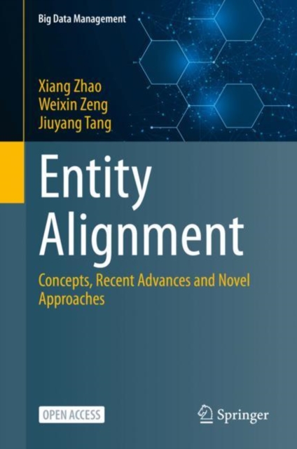Entity Alignment : Concepts, Recent Advances and Novel Approaches, Paperback / softback Book