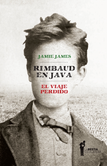 Rimbaud en Java, EPUB eBook