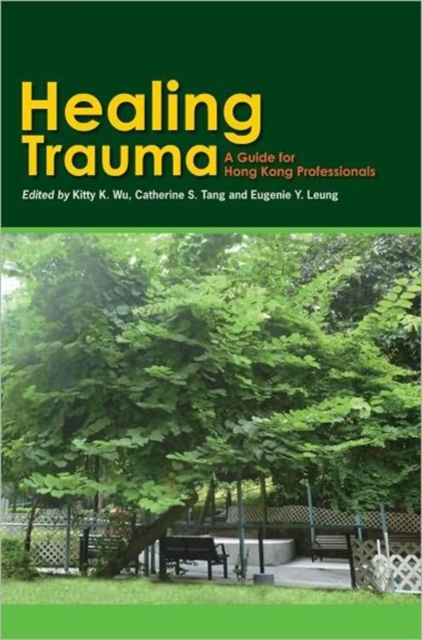 Healing Trauma - A Professional Guide, Paperback / softback Book