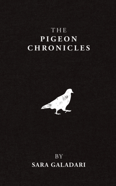 The Pigeon Chronicles, Paperback Book