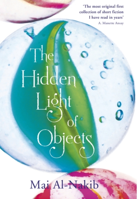 The Hidden Light of Objects, Hardback Book