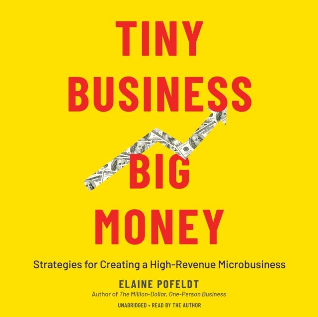 Tiny Business, Big Money, eAudiobook MP3 eaudioBook