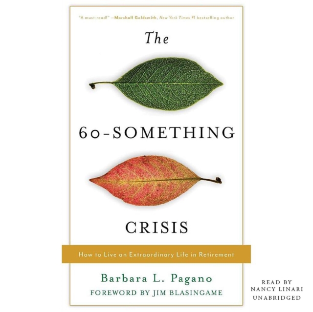The 60-Something Crisis, eAudiobook MP3 eaudioBook