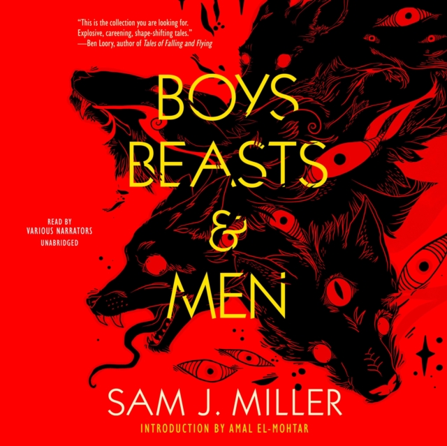 Boys, Beasts &amp; Men, eAudiobook MP3 eaudioBook