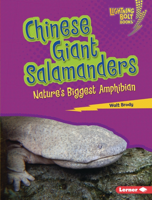 Chinese Giant Salamanders : Nature's Biggest Amphibian, EPUB eBook
